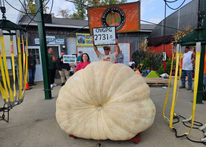 Pumpkin Primo: City’s Signature Fall Festival Home To 2024 World’s Largest Cucurbit—An Eye-Popping 2,731 Pounds!