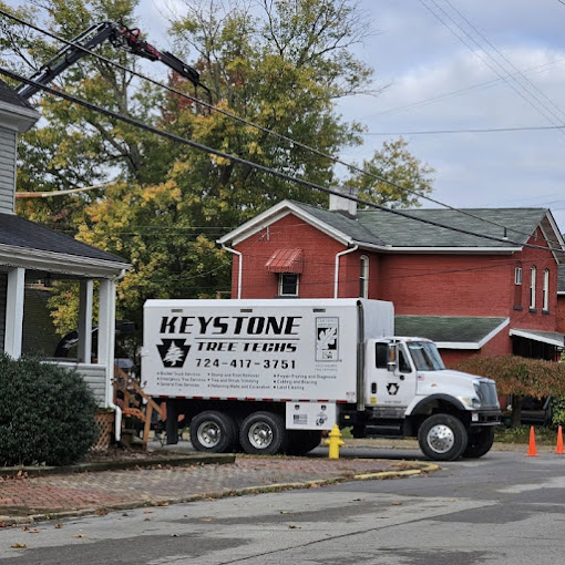 Keystone Tree Techs Earns 100 Positive Reviews from Pittsburgh Homeowners