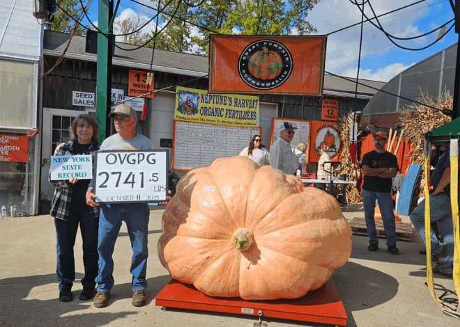 2025 North American Champion Pumpkin—2,741 pounds—on Display at Pittsburgh Festival!