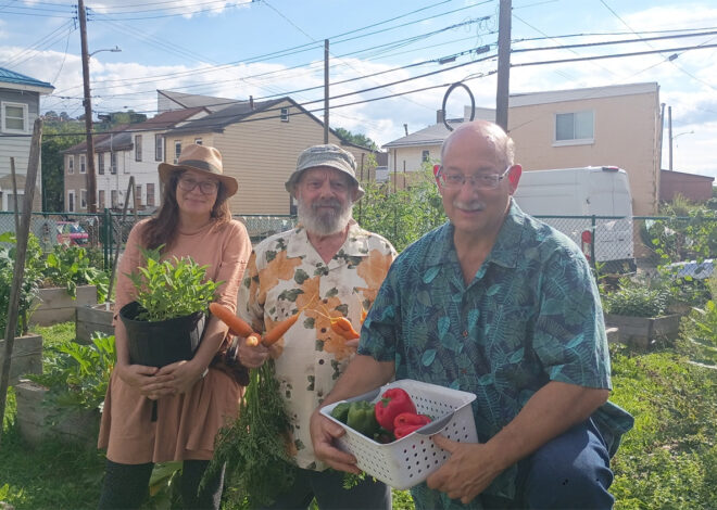 Sharpsburg Market Garden Is Hosting A Harvest Celebration – And A New Name! Celebrating locally grown and shared food in the heart of the community.